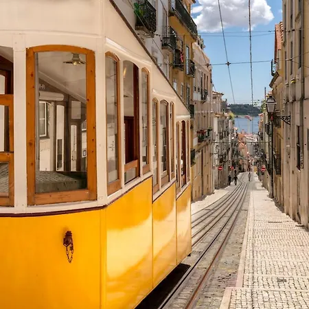 Bica Historical Tram *
